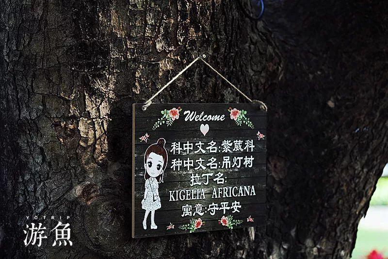 百尺竿头五两斜,此生何处不为家:浅谈唐朝商人是如何逆袭成功的