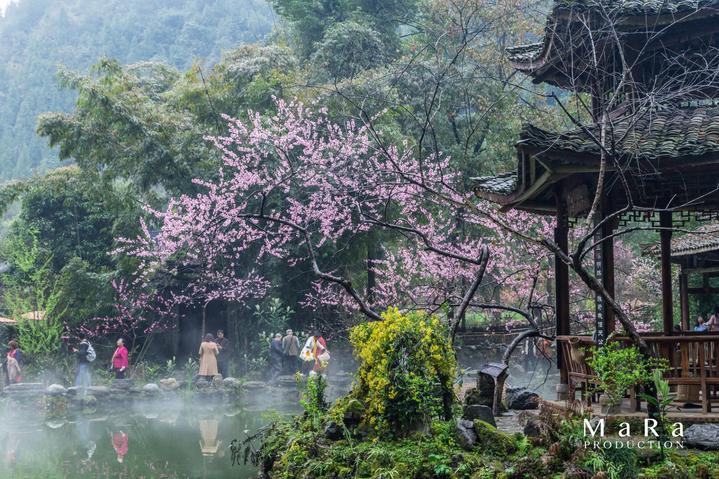 逃离森林小房