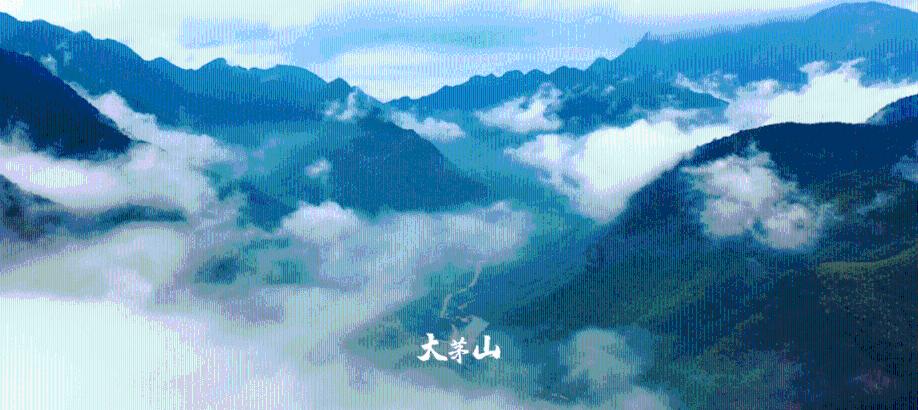 打呀么打飞机