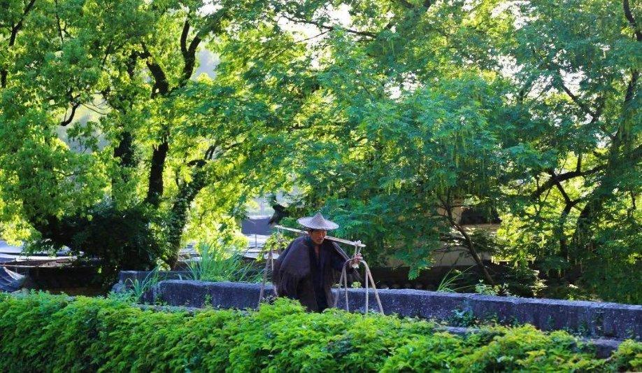 比较健忘怎么办？听说吃固升神经酸有用真的吗？游戏画面