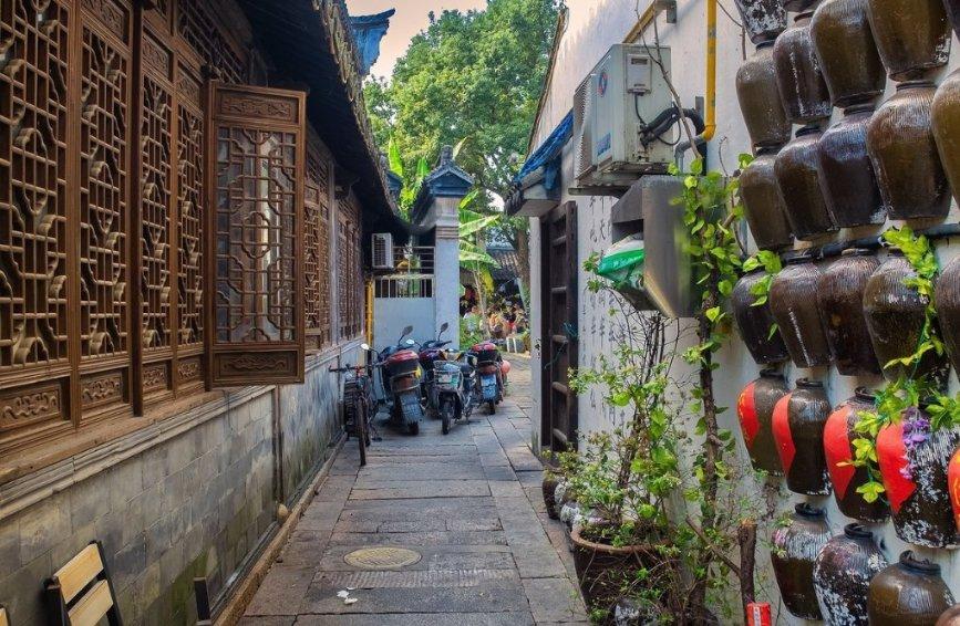 寻找沙漠珍宝