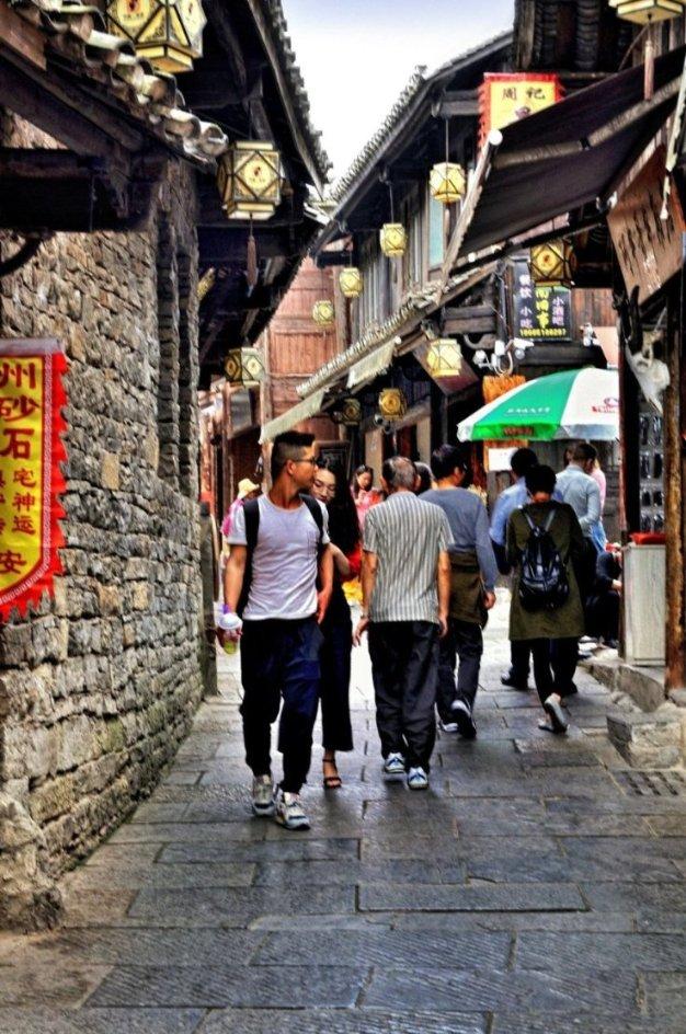 可爱小猫向上跳